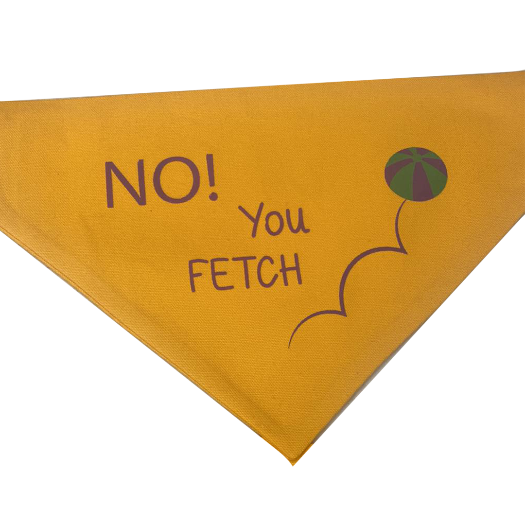 No You Fetch Bandana