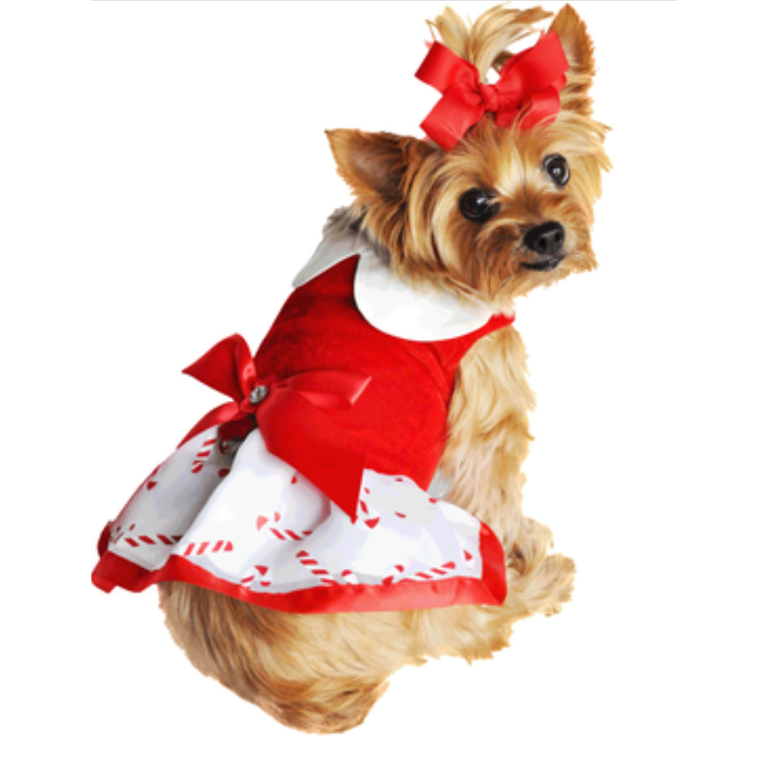 Candy Canes-Holiday Pet Harness Dress