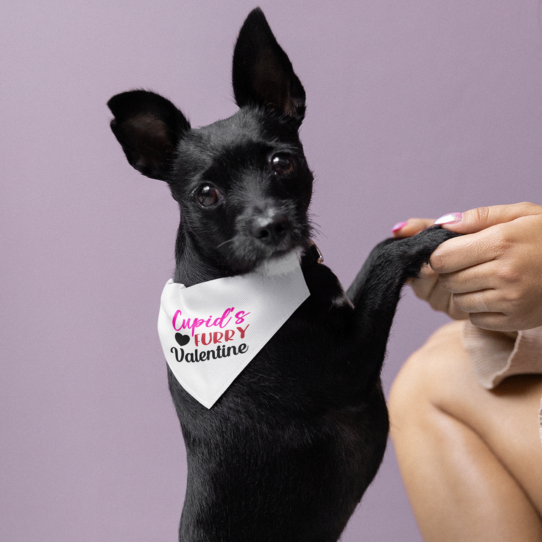 Cupid's Furry Valentine Over the Collar Dog Bandana