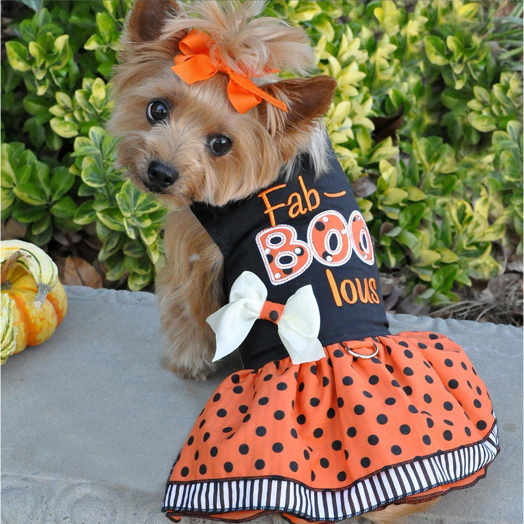 Fab-BOO-lous-Halloween Pet Harness Dress