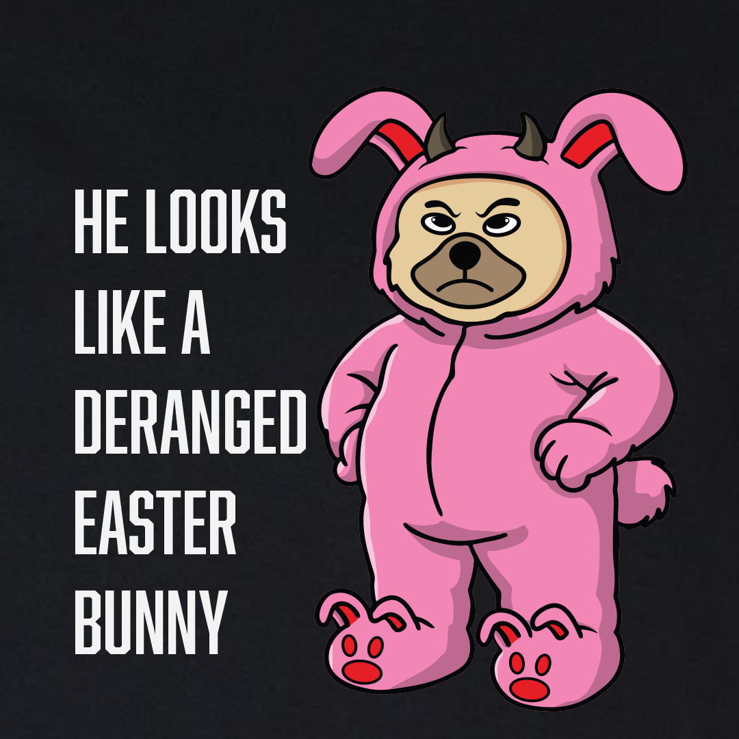 Naughty Bunny  – A Christmas Story Mashup