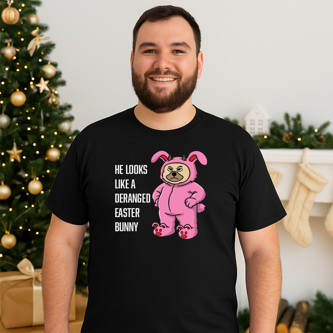 Naughty Bunny  – A Christmas Story Mashup