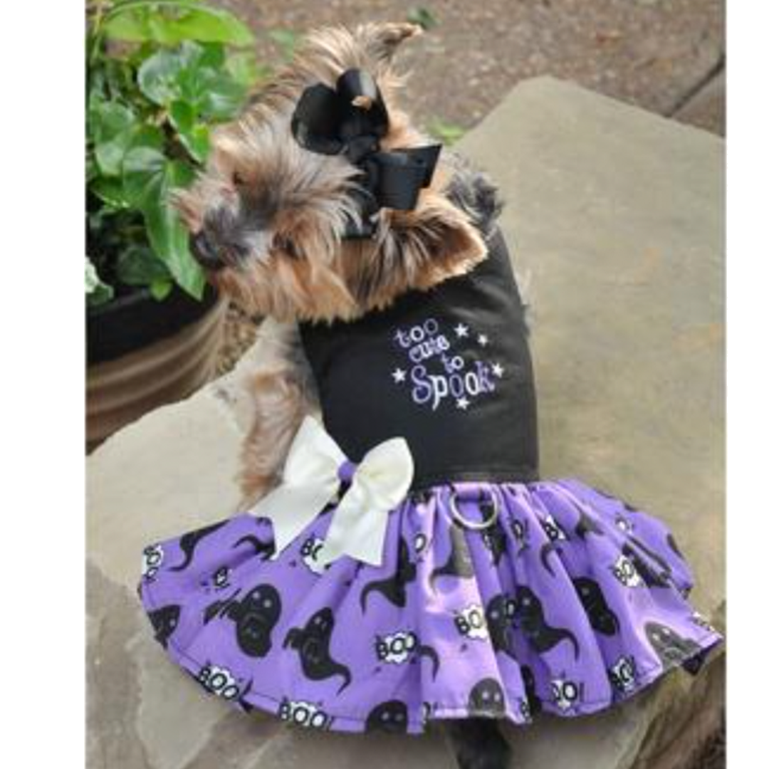 Too Cute to Spook-Halloween Pet Harness Dress